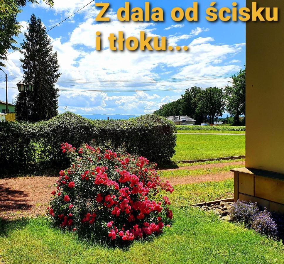 Palac Bazantarnia Pszczyna Exteriör bild