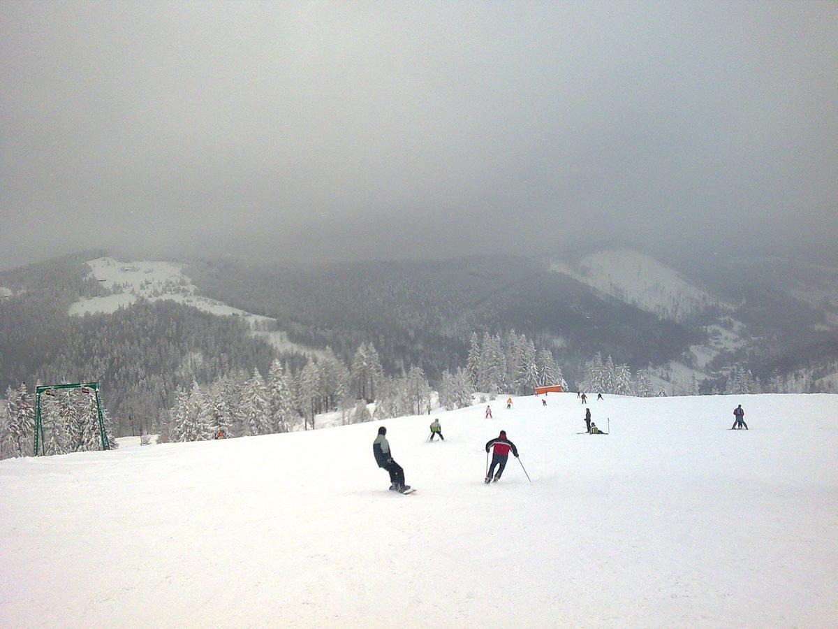 Palac Bazantarnia Pszczyna Exteriör bild