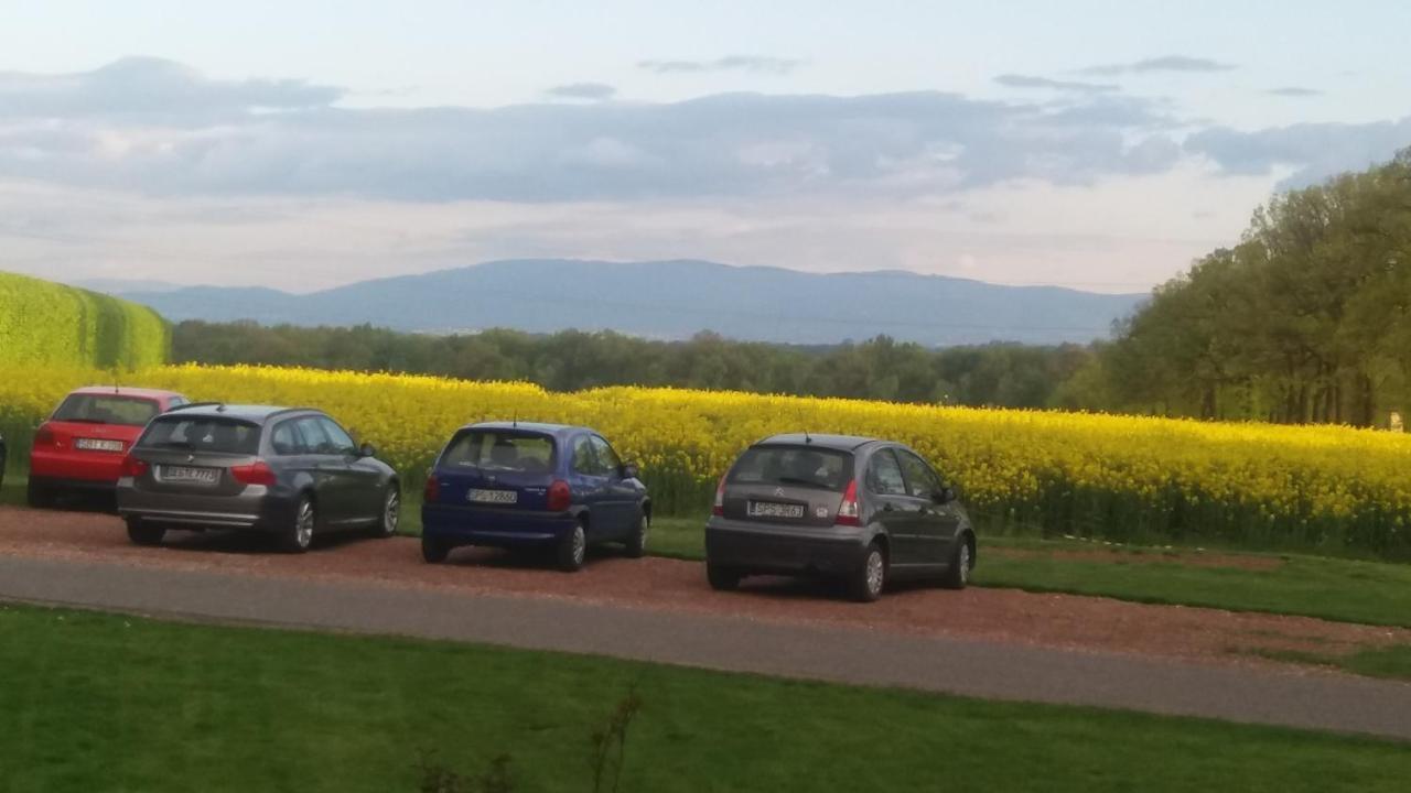 Palac Bazantarnia Pszczyna Exteriör bild